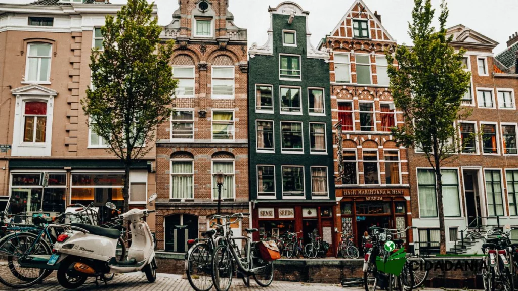 brasileiros ampliam interesse por cidades da holanda